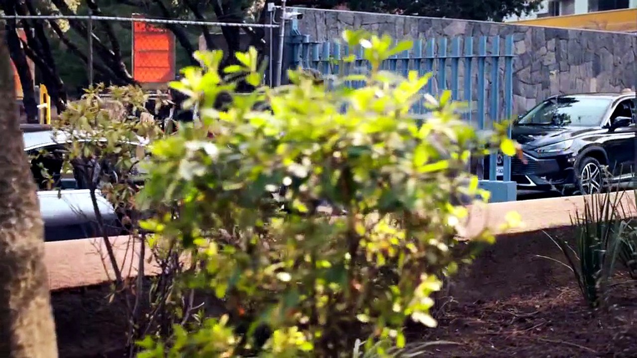 Corazón de Oro Capitulo 77