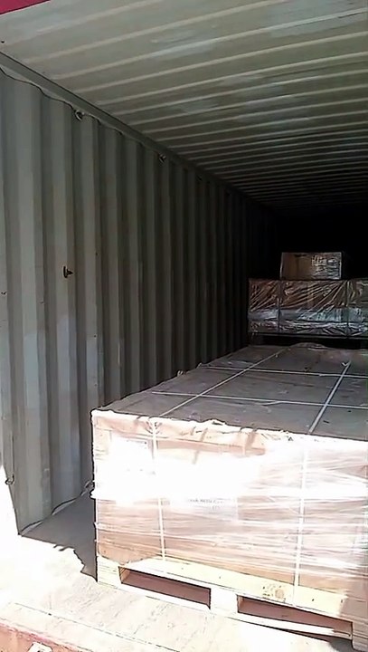 Inside a 40ft Mining Cargo Container | Kalimantan Mining Site Inspection