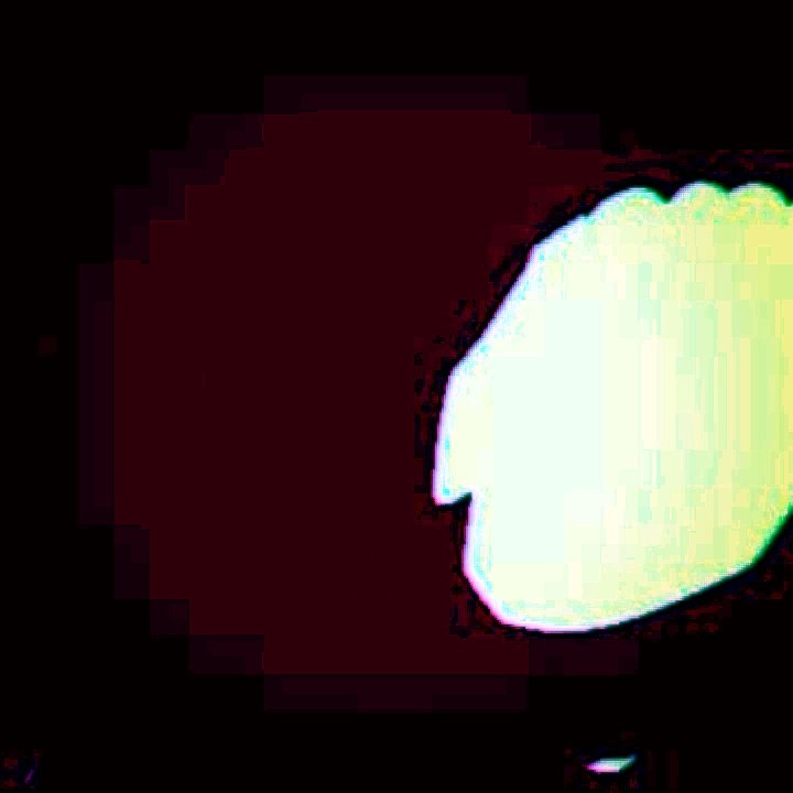 Inspira