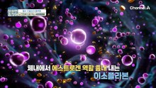 6대 방패 영양소가 한 번에 들어있는 서리태 콩물의 맛은?!