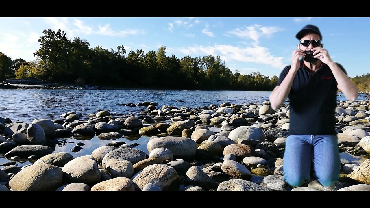 Heart of Gold - Neil Young (Harmonica Version)