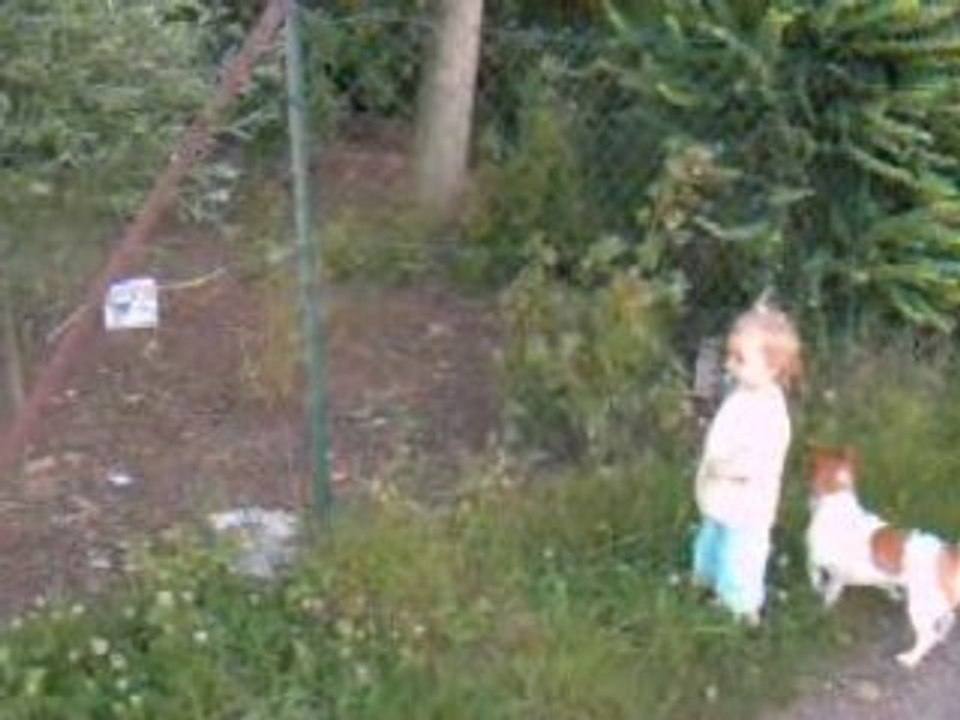 le chemin aux poules