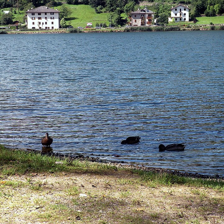Lago delle Piazze Bedollo