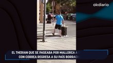 El therian que se paseaba por Mallorca a cuatro patas y con correa regresa a su país borracho perdido