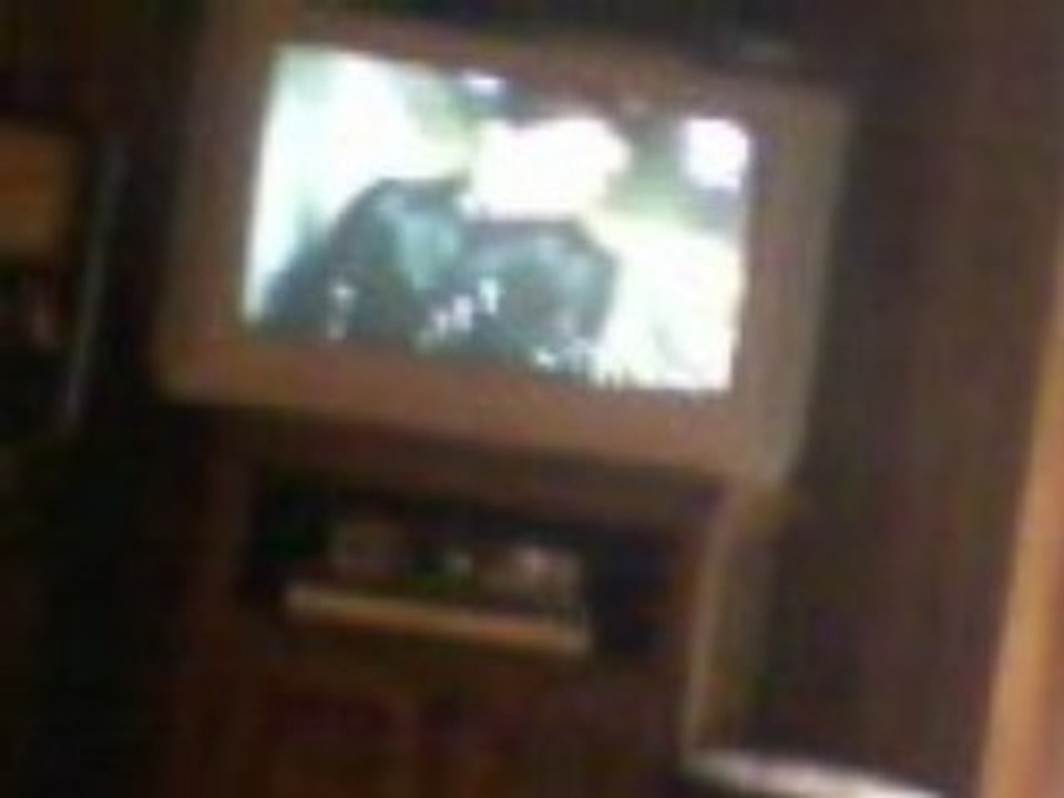 Anniversaire Chloé :)