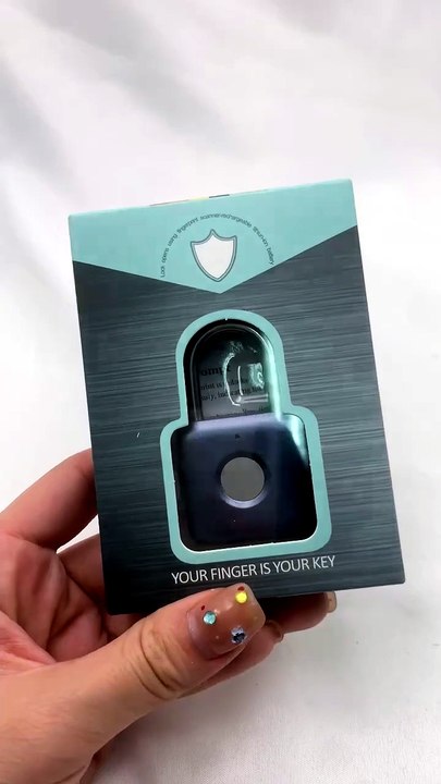 Fingerprint Travel Lock Test 🔐 Smart Security Demo