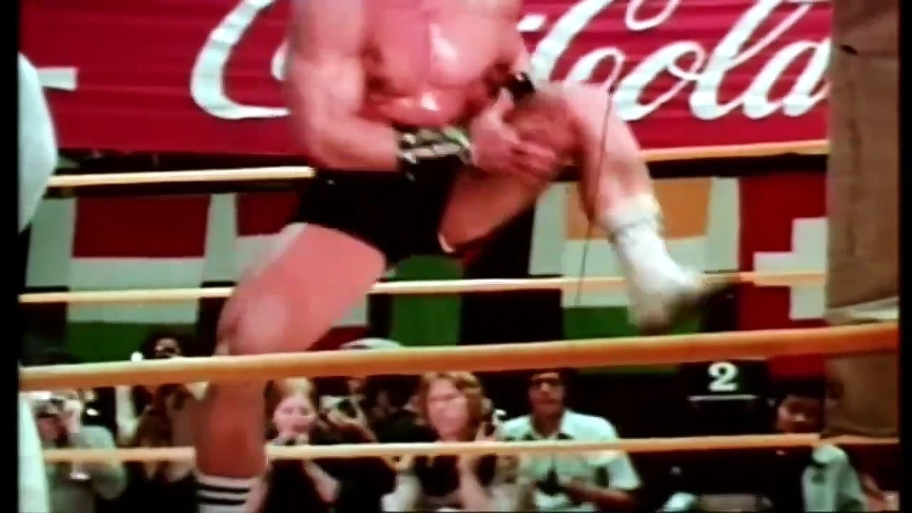 Bruce Lee el superhéroe