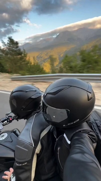 Le passager préféré des motards? 🏍️