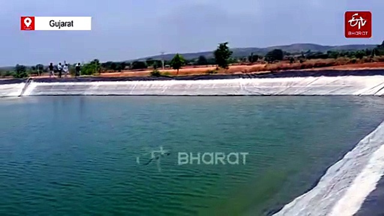 Unique Farm Ponds Help Gujarat Farmers Irrigate Crops During Dry Spells