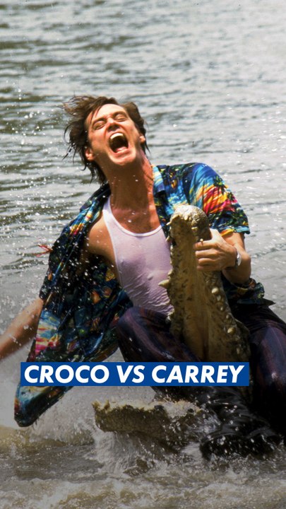 🐊 Aujourd'hui, c'est la Journée mondiale du crocodile.On n'est pas certains que celui-ci ait passé une très bonne journée. 😭