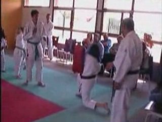 VIDEO ERIC DEMONSTRATION 2008