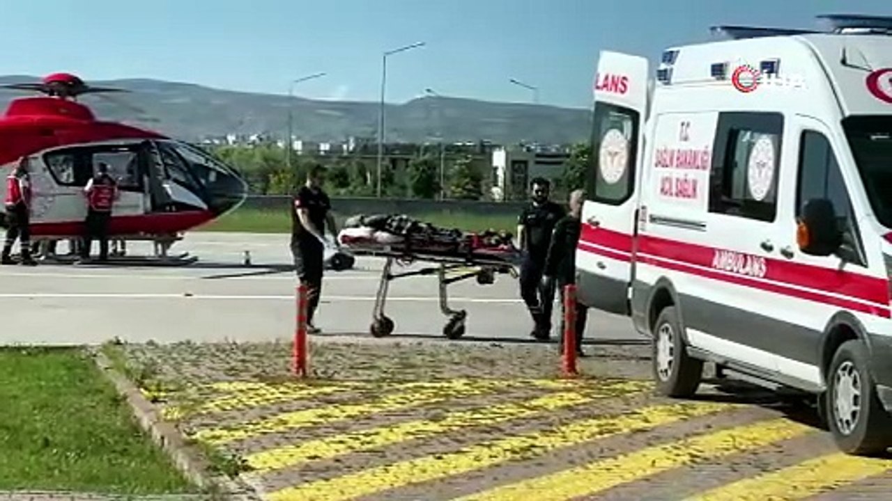 Hayvanlarını otlatırken ayı saldırısına uğradı, Kangallar imdadına yetişti