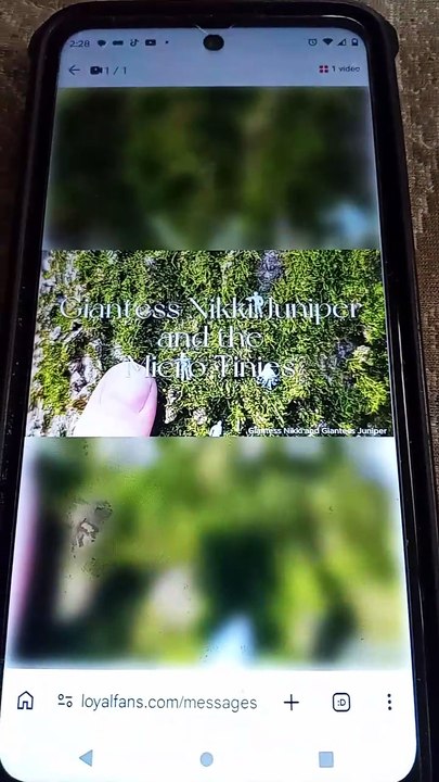 VID_20260617_142815557