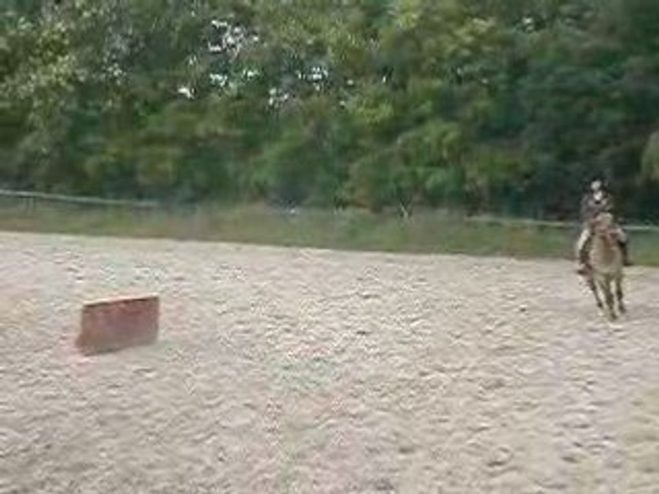 mOn x3 & mOii £n sAut