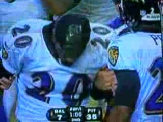 Hines Ward crushes Ed Reed