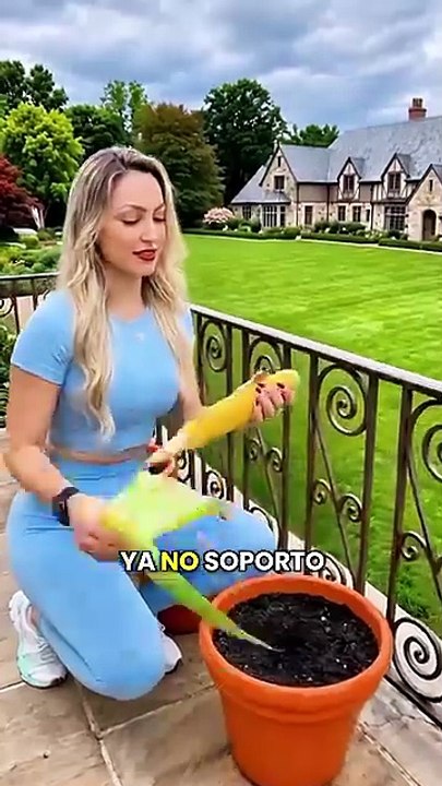 🌱 Muchos creen que cultivar alimentos en casa es imposible hasta que...