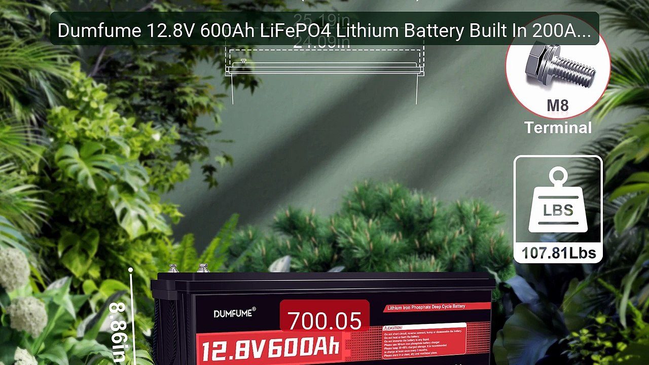 Dumfume 12.8V 600Ah LiFePO4 Lithium Battery Built In 200A BMS... -- Amazing Value 2026 | Must Have!