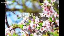 【中字】《犬饲先生大结局依旧有码》10