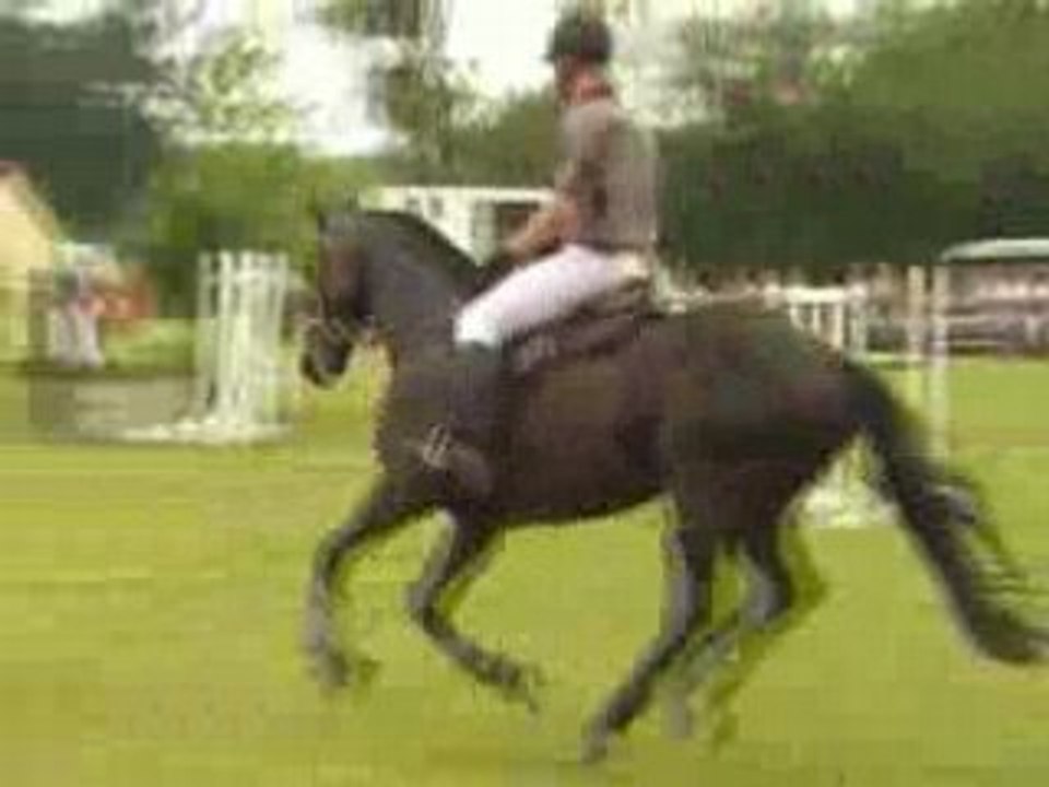 GP 115 22 juin 2008