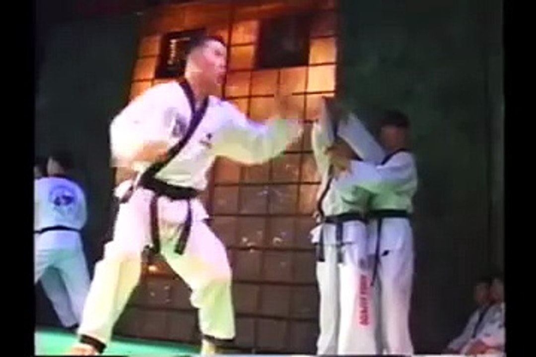 Jin Jung Kwan Hapkido