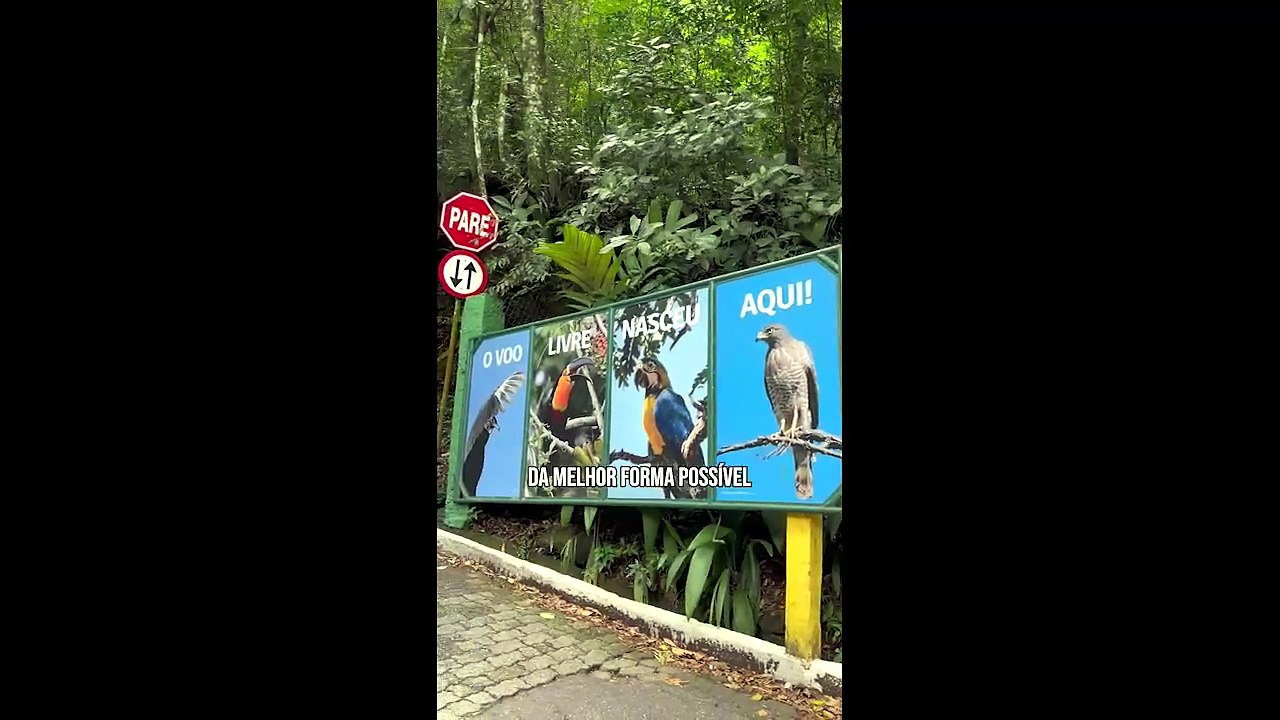 Vídeo oficial pôs-obra - CSCVL