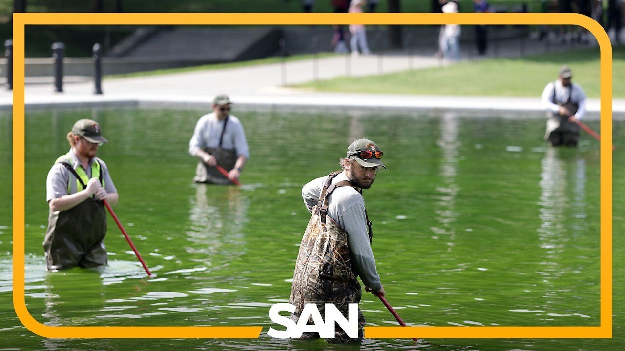 Newly renovated Reflecting Pool is already fighting an old problem