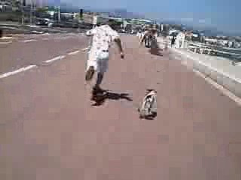 chien skateur de nice
