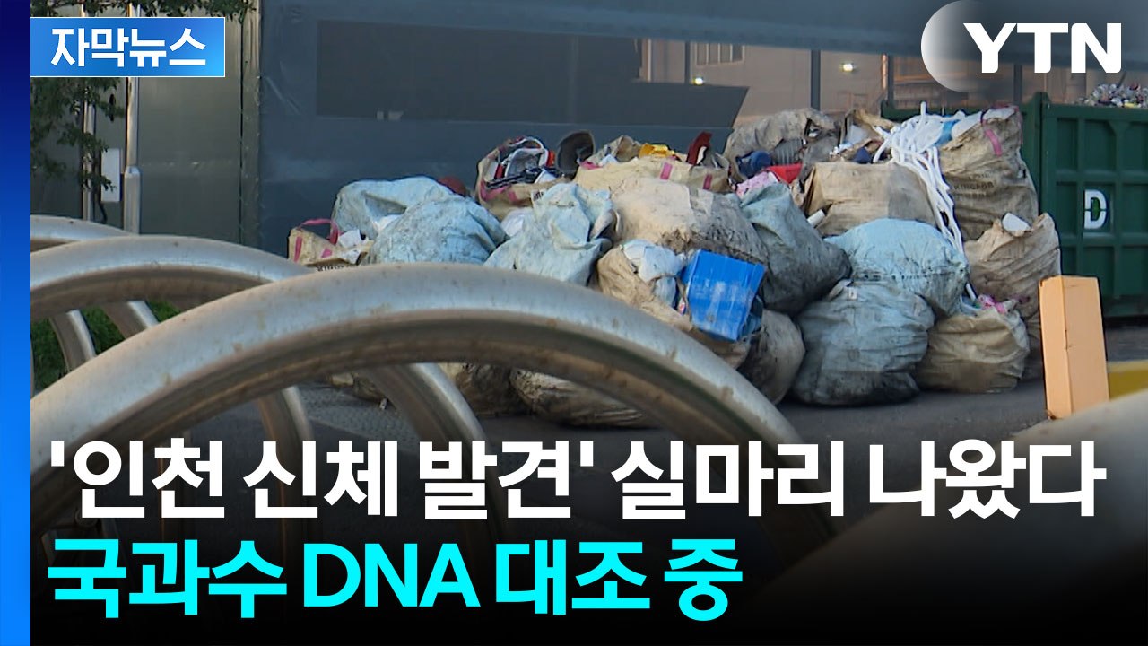 [자막뉴스] 인천서 발견된 사람 다리, 범죄 아닐 가능성 나와...DNA 대조 중 /...