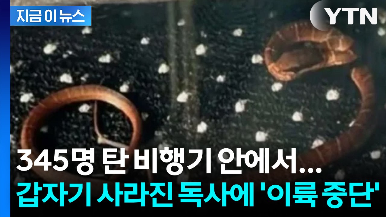 "기계 장치 속으로 실종"… 영국 공항 발칵 뒤집은 '초유의 셧다운' [지금이뉴스]...