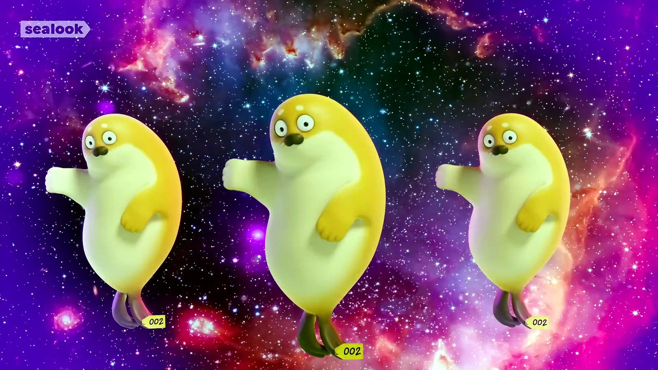 SEALOOK Season 001 episode 005 - Bouncing Seals
