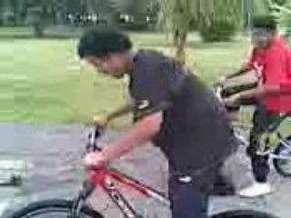 team biker one freestyle 2