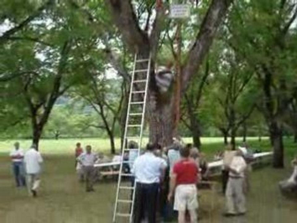 plantation du mai de jérôme Peyrat le 22 juin 2008