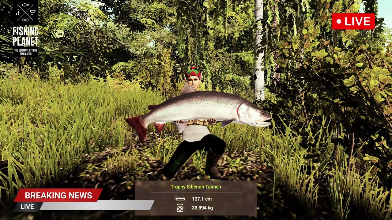 How to catch Trophy Siberian Taimen at Selenge River | Fishing Planet