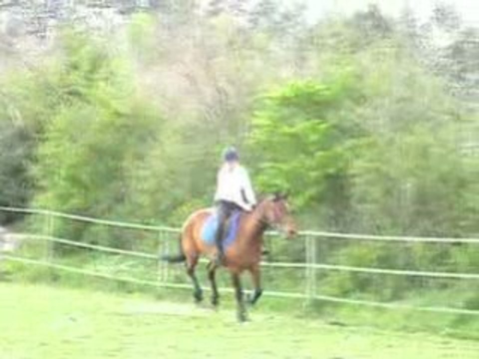 Juliette 3