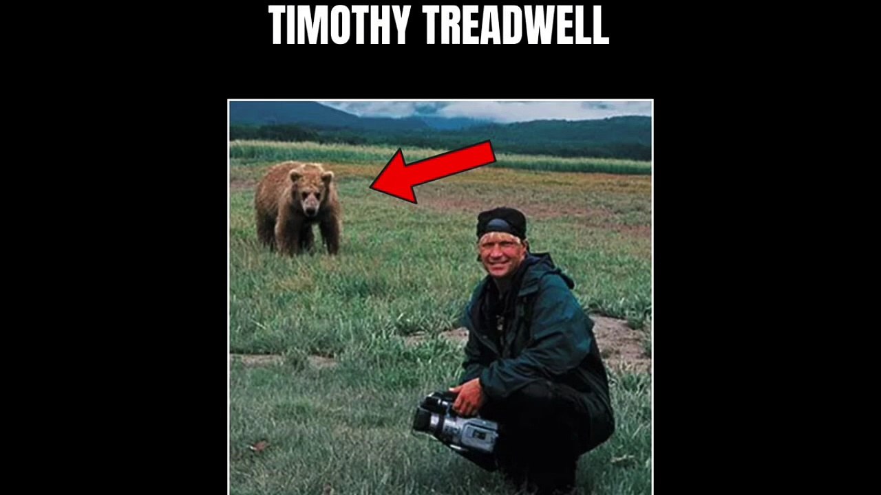 United States Bear incidentally accident