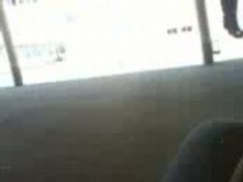 La danse des canards de Marion xD