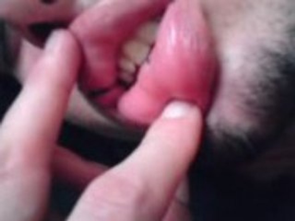 Dromadaire en dormant