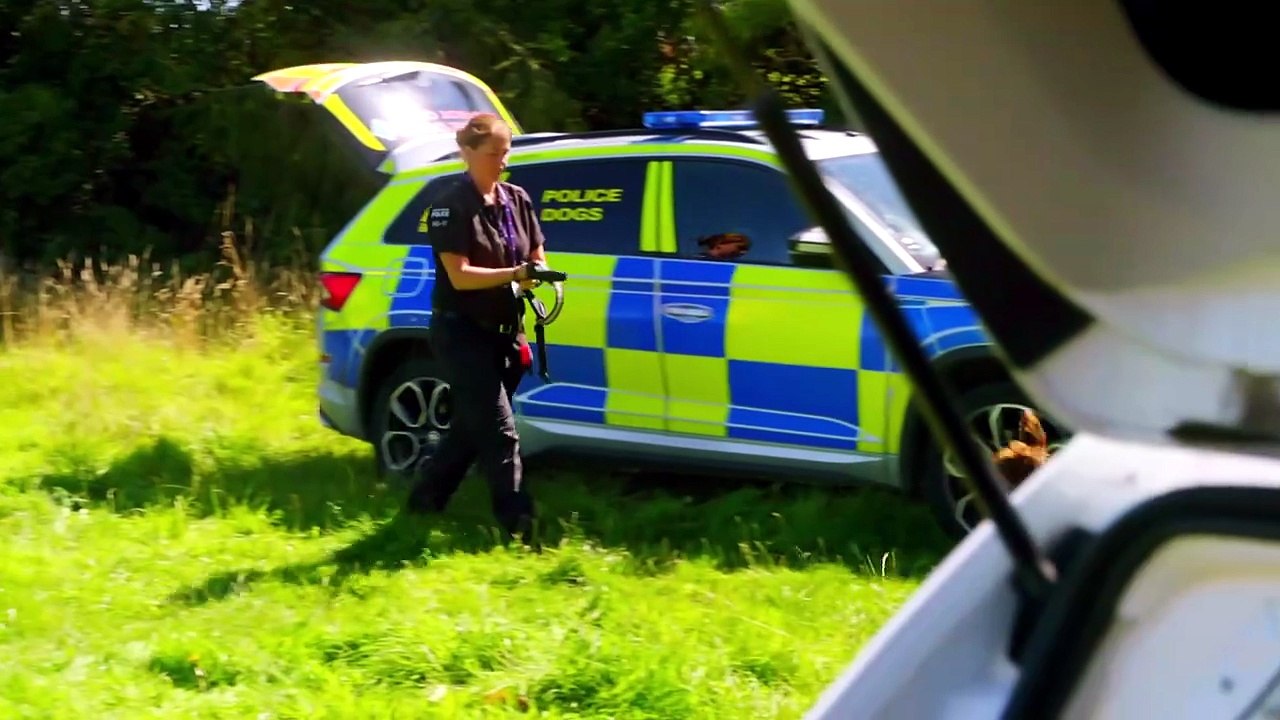 Police Interceptors S25E07 MY5 H 264