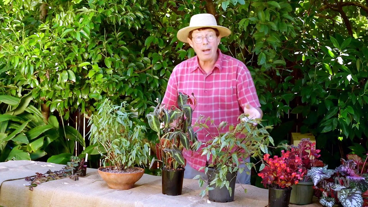Gardening Australia S37E13