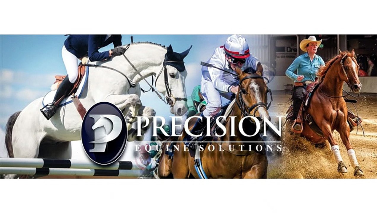 Precision Equine Solutions - Senior Horse Joint Supplement