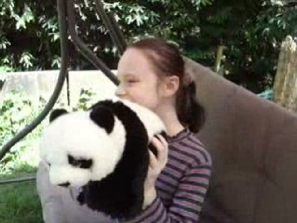 video panda peluche 2