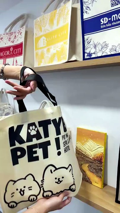 Bạn cần túi in logo rẻ - đẹp - bền? Túi vải không dệt tại Thành Tiến Bag chính là câu trả lời!
