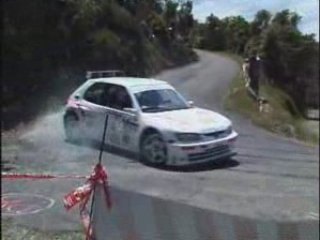Rallye du pays viganais 2008