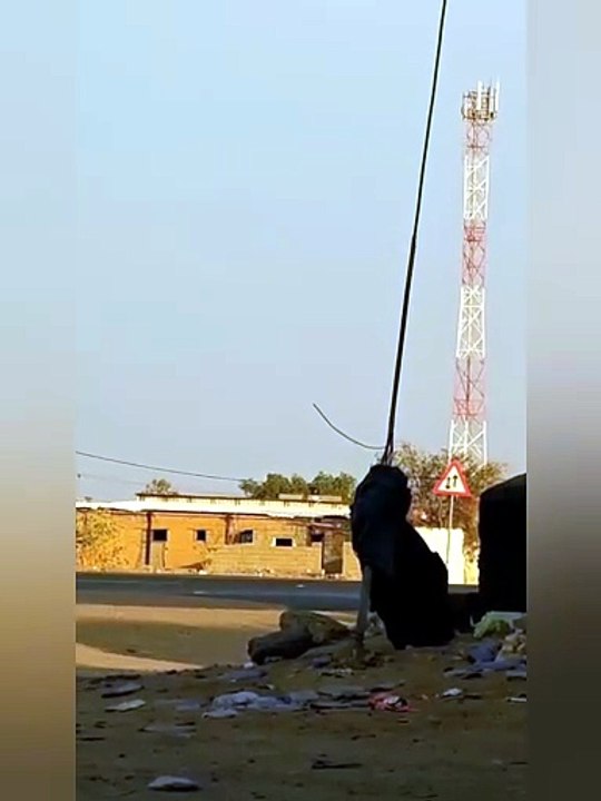 ربنا عليك توكلنا واليك انبنا