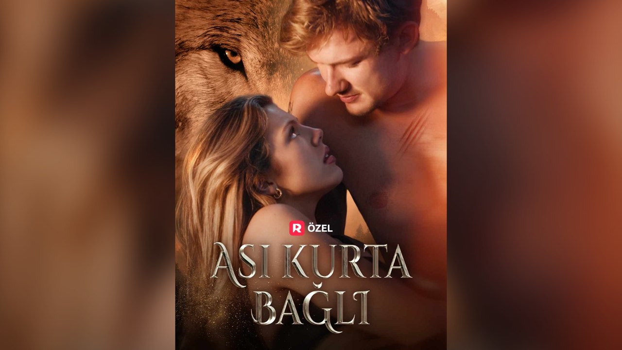 Asi Kurta BağLı