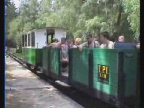 Reportage sur le Train à Vapeur de Rillé