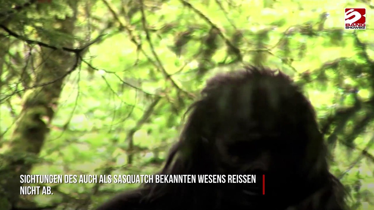Experte erklärt, wie Bigfoot den Menschen so lange entkommen konnte