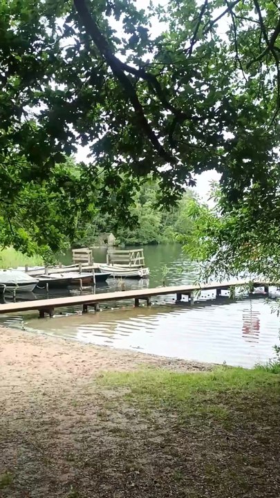 Sommer-Idylle am Schaalsee Camp