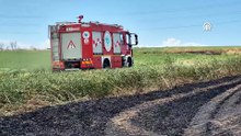 Tekirdağ'da 100 dekar buğday ekili alan yandı