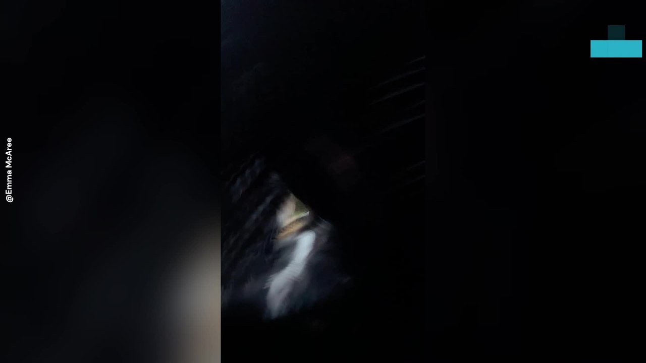 Phone Falls Between Bales as Woman Films Farmyard Video